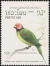 Colnect-1614-672-Blossom-headed-Parakeet-Psittacula-roseata.jpg