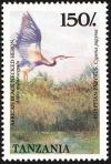 Colnect-1745-658-Black-headed-Heron-Ardea-melanocephala.jpg