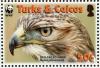 Colnect-1764-408-Red-tailed-Hawk-Buteo-jamaicensis.jpg