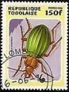Colnect-2074-953-Golden-Ground-Beetle-Carabus-auronitens.jpg