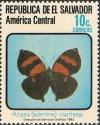 Colnect-2271-736-Brush-footed-Butterfly-Anaea-marthesia.jpg