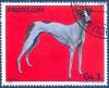 Colnect-2321-503-Greyhound-Canis-lupus-familiaris.jpg