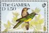 Colnect-2613-388-African-Emerald-Cuckoo%C2%A0Chrysococcyx-cupreus.jpg