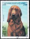 Colnect-3515-675-Bloodhound-Canis-lupus-familiaris.jpg