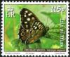 Colnect-3952-696-Speckled-Wood-Pararge-aegeria.jpg