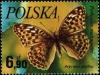 Colnect-3961-642-Silver-washed-Fritillary-Argynnis-paphia.jpg