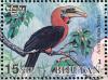 Colnect-5174-613-Rufous-necked-Hornbill-Aceros-nipalensis.jpg
