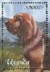 Colnect-6075-910-Bloodhound-Canis-lupus-familiaris.jpg