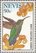 Colnect-1646-417-Green-throated-Carib-Eulampis-holosericeus.jpg