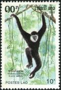 Colnect-2550-032-Black-crested-Gibbon-Hylobates-concolor.jpg