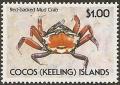 Colnect-3090-329-Red-Backed-Mud-Crab.jpg