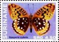 Colnect-3489-934-Great-Spangled-Fritillary-Speyeria-cybele.jpg