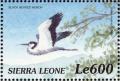 Colnect-3807-368-Black-headed-Heron-Ardea-melanocephala.jpg