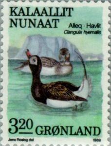 Colnect-158-433-Long-tailed-Duck-Clangula-hyemalis.jpg