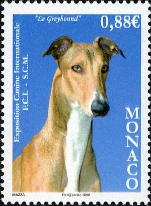 Colnect-1146-475-Greyhound-Canis-lupus-familiaris.jpg