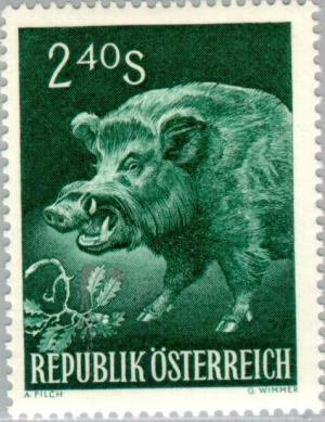 Colnect-136-439-Wild-boar-Sus-scrofa.jpg