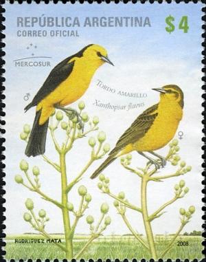 Colnect-1429-155-Saffron-crowled-Blackbird-Xanthopsar-flavus.jpg