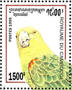 Colnect-1526-993-Yellow-crowned-Amazon-Amazona-ochrocephala.jpg