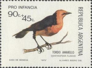 Colnect-1590-290-Saffron-crowled-Blackbird-Xanthopsar-flavus.jpg