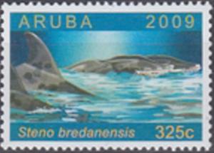 Colnect-1999-453-Rough-toothed-Dolphin-Steno-bredanensis.jpg