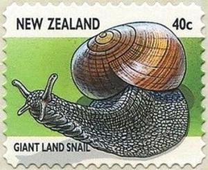 Colnect-2247-620-Giant-Land-Snail-Powelliphanta-sp.jpg
