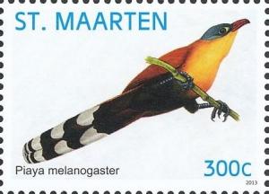 Colnect-2624-047-Black-bellied-Cuckoo-Piaya-melanogaster.jpg