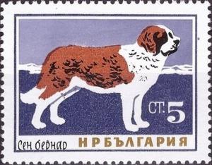 Colnect-3175-584-Saint-Bernard-Dog-Canis-lupus-familiaris.jpg
