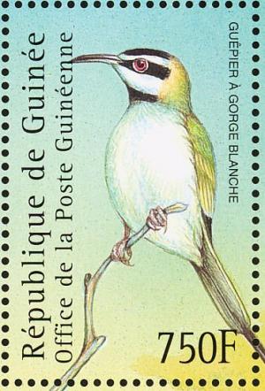 Colnect-3804-329-White-throated-Bee-eater-Merops-albicollis.jpg