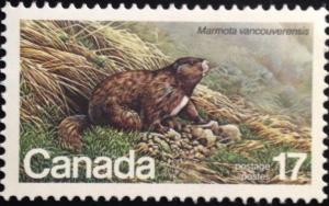 Colnect-4016-324-Vancouver-Island-Marmot-Marmota-vancouverensis.jpg