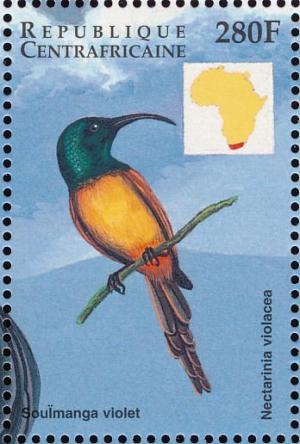 Colnect-4383-435-Orange-breasted-Sunbird-Anthobaphes-violacea.jpg