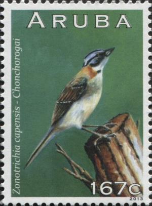 Colnect-6279-117-Rufous-collared-Sparrow-Zonotrichia-capensis.jpg