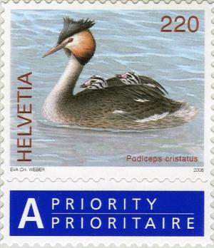 Colnect-693-070-Great-crested-grebe-Podiceps-cristatus.jpg
