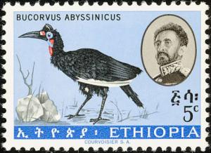 Colnect-874-316-Abyssinian-Ground-Hornbill-Bucorvus-abyssinicus.jpg