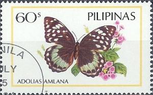 Colnect-874-812-Brush-footed-Butterfly-Adolias-amlana.jpg