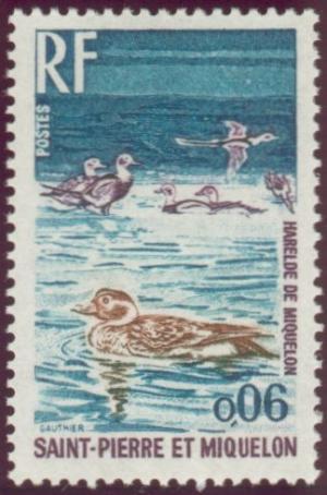 Colnect-875-193-Long-tailed-Duck-Clangula-hyemalis.jpg