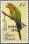 Colnect-2098-068-Brown-throated-Parakeet-Aratinga-pertinax.jpg