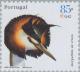 Colnect-181-899-Great-Crested-Grebe-Podiceps-cristatus.jpg