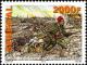 Colnect-2677-480-Battlefield-and-Soldiers-in-Trenches.jpg