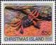 Colnect-3880-481-Christmas-Island-Red-Crab-Gecarcoidea-natalis.jpg