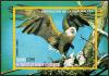 Colnect-1474-871-American-Bald-Eagle-Halae%C3%ABtus-leucocephalus.jpg
