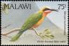 Colnect-3388-904-White-fronted-Bee-eater-Melittophagus-bullockoides-.jpg