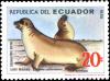 Colnect-5205-871-Galapagos-Sea-Lion-Zalophus-wollebaeki.jpg