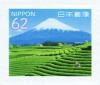 Colnect-5300-284-Tea-Fields-Mt-Fuji.jpg