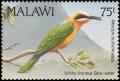 Colnect-3388-904-White-fronted-Bee-eater-Melittophagus-bullockoides-.jpg