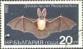 Colnect-615-564-Brown-long-eared-Bat-Plecotus-auritus.jpg