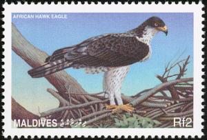Colnect-1631-919-African-Hawk-eagle-Hieraaetus-spilogaster.jpg