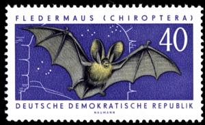 Colnect-1973-599-Brown-Long-eared-Bat-Plecotus-auritus-.jpg