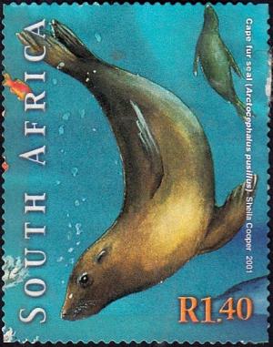 Colnect-3372-468-Cape-Fur-Seal-Arctocephalus-pusillus.jpg