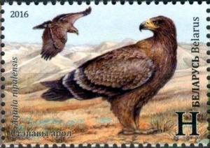 Colnect-3382-238-Steppe-Eagle-Aquila-nipalensis.jpg
