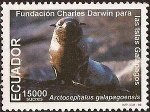 Colnect-3863-069-Galapagos-Fur-Seal-Arctocephalus-galapagoensis.jpg